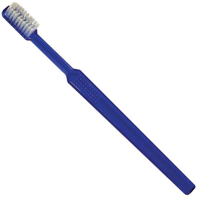 toothbrush handle